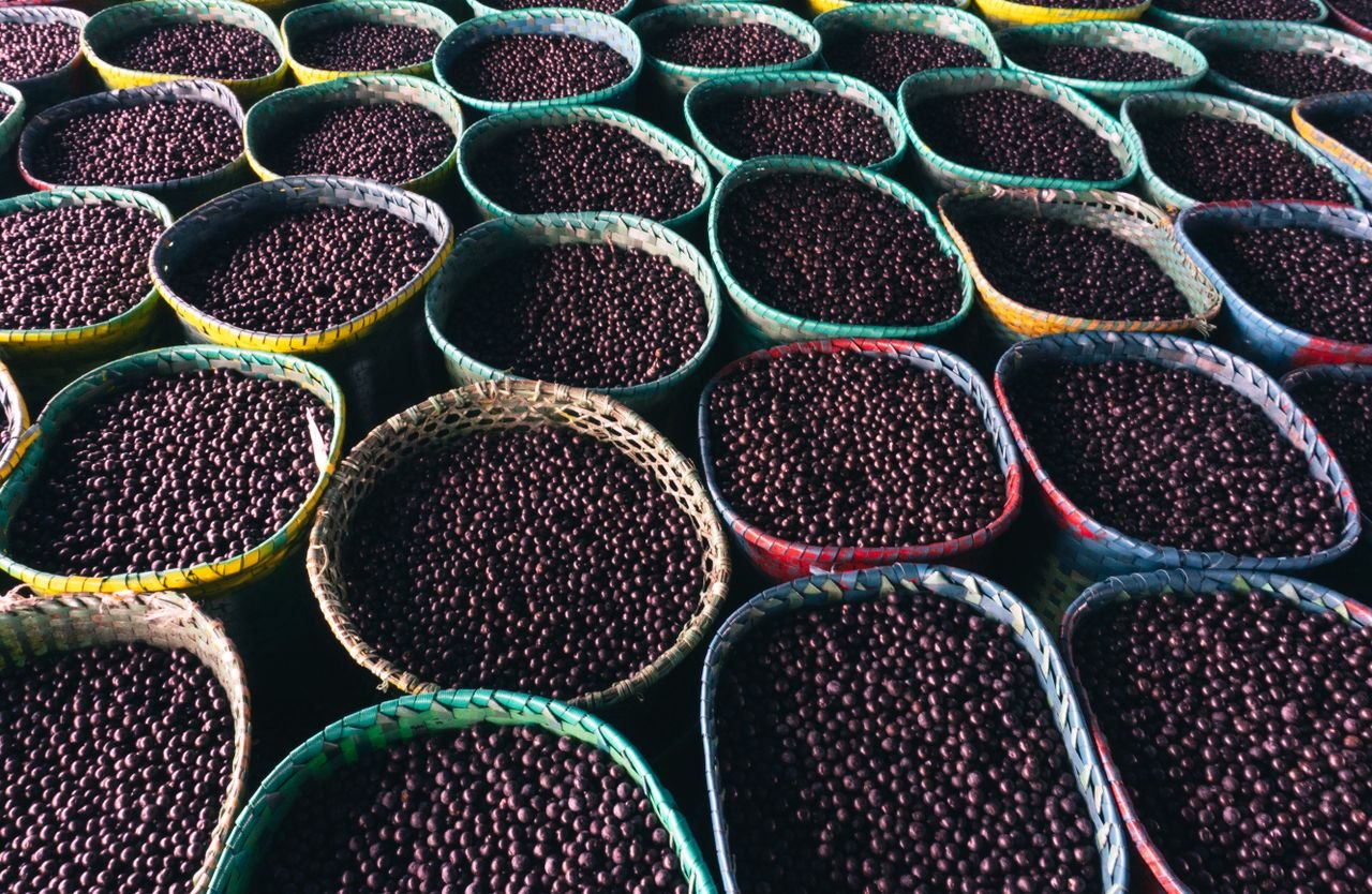 Services Colorful baskets filled with acai berries at a market in Belém, Pará, showcasing local culture and sustainability.