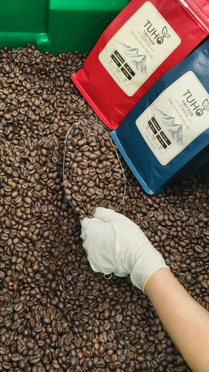Services A hand in gloves scooping coffee beans with branded packages visible.